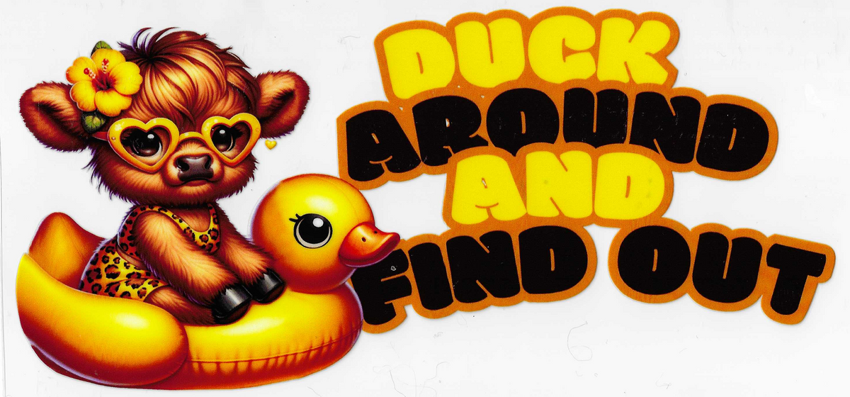 Duck Around and Find Out