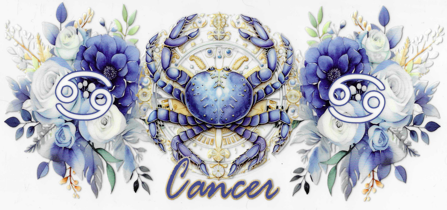 Cancer 2.0