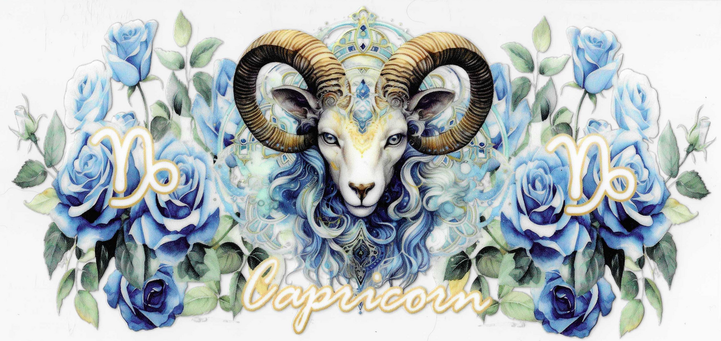 Capricorn 2.0