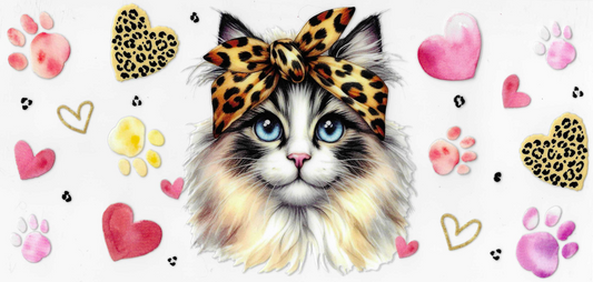 Pretty Kitty