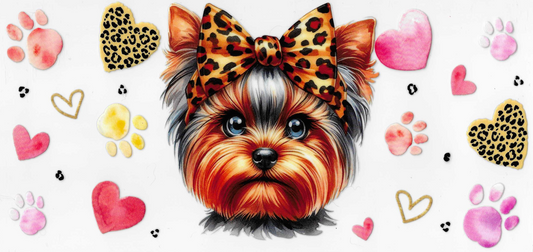 Yorkie Poo