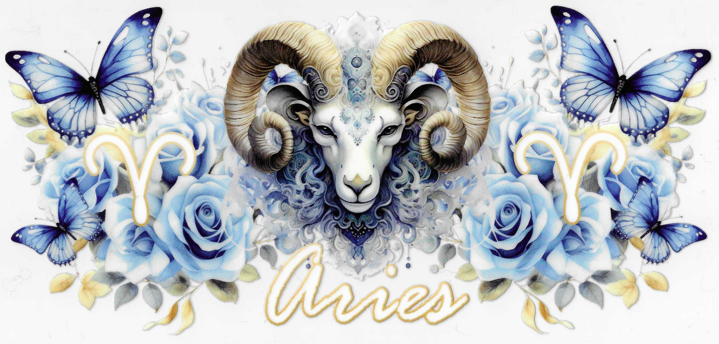 Aries 2.0