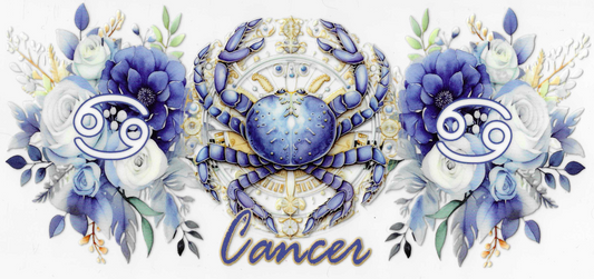 Cancer 2.0
