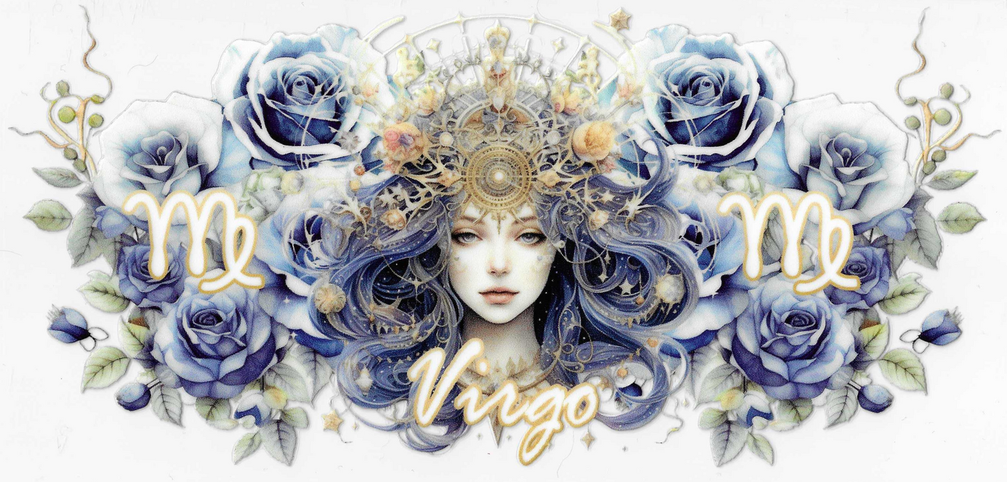 Virgo 2.0