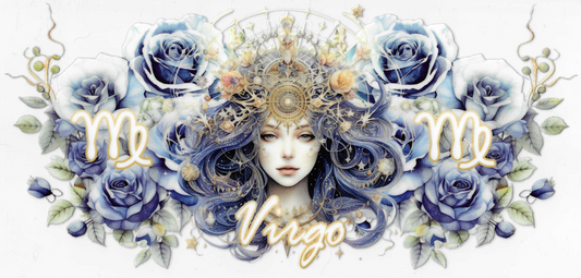 Virgo 2.0