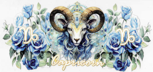 Capricorn 2.0