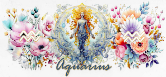 Aquarius 2.0