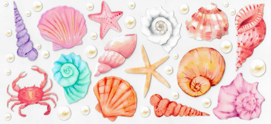 Shells & Pearls